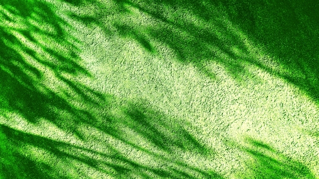 地方ビジネスが本当に必要とする『売れる仕組み』と『伴走者』