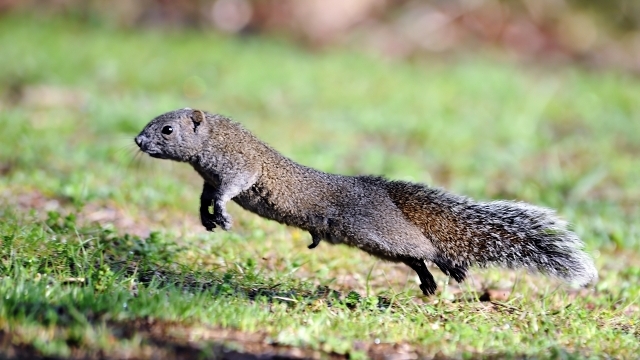 デジタル時代を勝ち抜く基本原則
