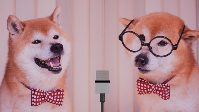 商用のWebサイトは「ショー用」ではない