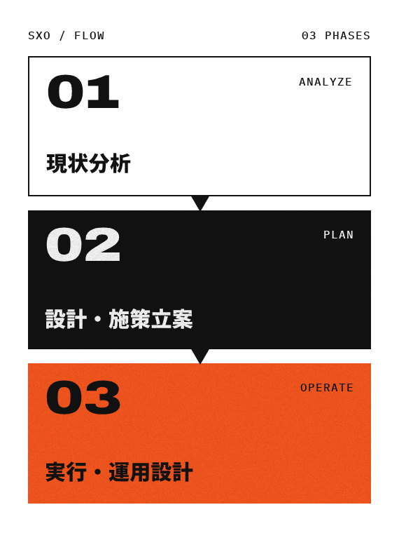 現状分析、設計・施策立案、実行・運用設計